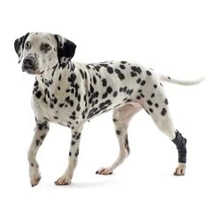 Kruuse Rehab Hakbeschermer -Geschäft Für Tierbedarf 0448f3b75bf2a4aa0cc26ed1de69d7ac684c29830b1dee88ffad4fb915b194da 3