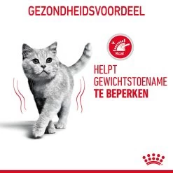 Royal Canin Light Weight Care In Jelly - Kattenvoer -Geschäft Für Tierbedarf 0YAYSQygF0oam9mGP6vetV2ewLX2wU metaUm95YWwtQ2FuaW4tTGlnaHQtV2VpZ2h0LUNhcmUtaW4tSmVsbHlfMDUuanBn
