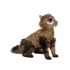 Medical Pet Shirt Kat Luipaard Print -Geschäft Für Tierbedarf 399f40221187c4143940b56bf55175115a4cb4872acc40fedd18eb39078d4739 3