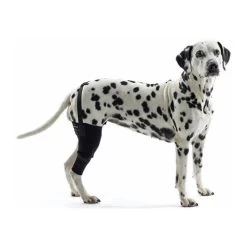 Kruuse Rehab Kniebeschermer -Geschäft Für Tierbedarf 4957a3ffd358747033d0cbd01a841546f7ef4b029671e5bba61aa3b01314bd37 3