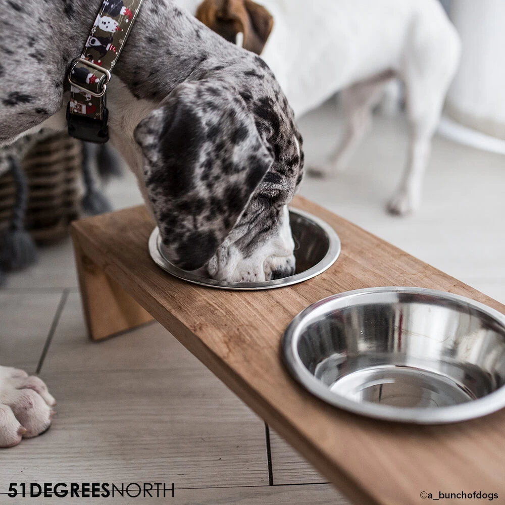 51 Degrees North Voerbak Teak High 12 51 Degrees North Voerbak Teak High - Afbeelding 10