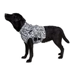 Medical Pet Top Shirt - Zebraprint -Geschäft Für Tierbedarf 7dbb977aeaee5358bdbb75a2726d86afedc883c6c5c256190d52b3230b638369 3
