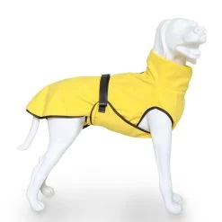 Eqdog Doggy Dry -Geschäft Für Tierbedarf 8f57e690a81592161d23466d993f4ec997025ce1822a54cb66b9c4102bbccffa 3