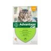 Advantage Kat -Geschäft Für Tierbedarf 9OUagG6zGQ7ddYYSyXvy6CT8ztJfY8 metaYWR2YW50YWdlX2thdF8xMDQwODlfMTUwMF9ub25lLmpwZw
