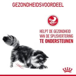 Royal Canin Digestive Care In Gravy - Kattenvoer -Geschäft Für Tierbedarf ArELC5MRoxiyJSCYOslvuIRNg5AVhp metaUm95YWwtQ2FuaW4tRGlnZXN0aXZlLUNhcmVfMDEuanBn