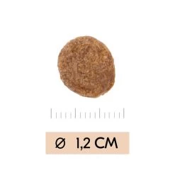 Vetality Gastrointestinal - Hondenvoer -Geschäft Für Tierbedarf B8NEQsyeCQch4UgKShIZcxtA0bCPPX metadmV0YWxpdHlfZ2FzdHJvaW50ZXN0aW5hbF9faG9uZGVudm9lcl8xOTU0NDlfMDUwMF9ub25lLmpwZw