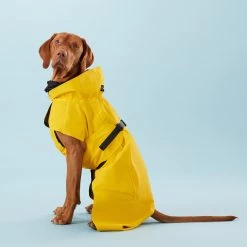PAIKKA Visibility Raincoat Lite Yellow 11 PAIKKA Visibility Raincoat Lite Yellow -Geschäft Für Tierbedarf PClMHEr7OU9sOGs5uS5yRaglBqAzmp metaUGFpa2thLVZpc2liaWxpdHktUmFpbmNvYXQtTGl0ZS1ZZWxsb3czLmpwZw