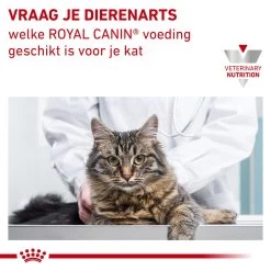 Royal Canin Urinary S/O Moderate Calorie Kat - Maaltijdzakje -Geschäft Für Tierbedarf SFdiqQkH7RWh3eQzvrM8ZbIX2VC3fo metacm95YWxfY2FuaW5fdXJpbmFyeV9zb19tb2RlcmF0ZV9jYWxvcmllX2thdF8xNTM1ODlfMTAwMF9ub25lLmpwZw