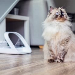 Surefeed Connect Microchip Voerautomaat 16 Surefeed Connect Microchip Voerautomaat -Geschäft Für Tierbedarf WnNhu9hPMUo1QKjKghfbGLzae1cNy9 metaU3VyZWZlZWQtMS5qcGc