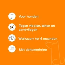 Adimere - Vlooienband 11 Adimere - Vlooienband -Geschäft Für Tierbedarf adimere vlooienband 211586 2000 none