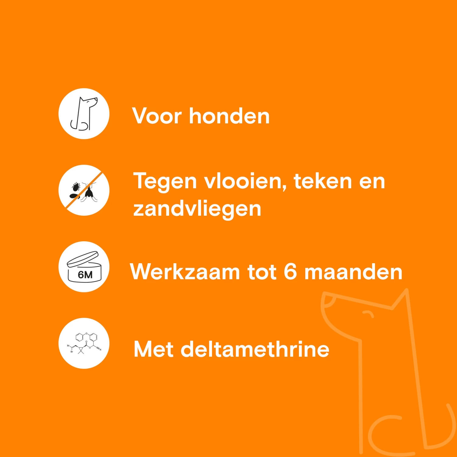 Adimere - Vlooienband 6 Adimere - Vlooienband - Afbeelding 4