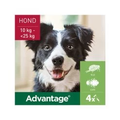 Advantage Hond -Geschäft Für Tierbedarf advantage hond 180880 0500 none