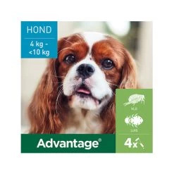 Advantage Hond -Geschäft Für Tierbedarf advantage hond 180883 0500 none