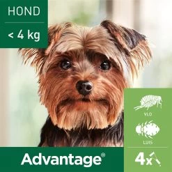 Advantage Hond -Geschäft Für Tierbedarf advantage hond 180892 1000 none