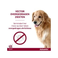 Advantix -Geschäft Für Tierbedarf advantix 174193 0500 none