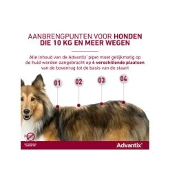 Advantix -Geschäft Für Tierbedarf advantix 174199 0500 none