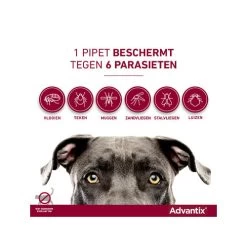 Advantix -Geschäft Für Tierbedarf advantix 174205 0500 none