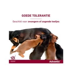 Advantix -Geschäft Für Tierbedarf advantix 174214 0500 none