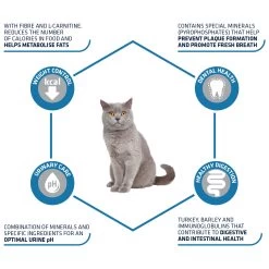 Affinity Advance Sterilized Kalkoen - Kat -Geschäft Für Tierbedarf affinity advance sterilized kalkoen kat 178201 1500 none