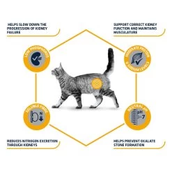 Affinity Advance Veterinary Diets Renal Kat -Geschäft Für Tierbedarf affinity advance veterinary diets renal kat 176884 1500 none