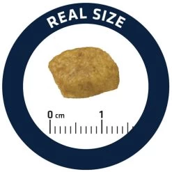 Affinity Advance Veterinary Diets Renal Kat -Geschäft Für Tierbedarf affinity advance veterinary diets renal kat 176890 0500 none