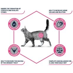 Affinity Advance Veterinary Diets Urinary Kat -Geschäft Für Tierbedarf affinity advance veterinary diets urinary kat 176905 1500 none