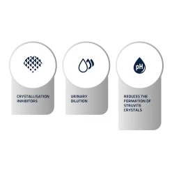 Affinity Advance Veterinary Diets Urinary Kat -Geschäft Für Tierbedarf affinity advance veterinary diets urinary kat 176908 1500 none