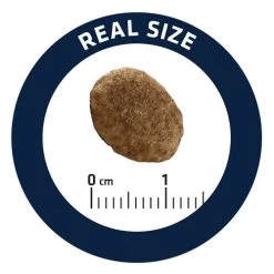 Affinity Advance Veterinary Diets Urinary Kat -Geschäft Für Tierbedarf affinity advance veterinary diets urinary kat 176911 0500 none