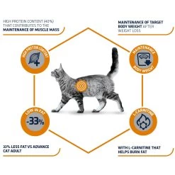 Affinity Advance Veterinary Diets Weight Balance Kat -Geschäft Für Tierbedarf affinity advance veterinary diets weight balance kat 178093 1500 none