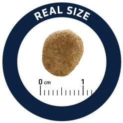 Affinity Advance Veterinary Diets Weight Balance Kat -Geschäft Für Tierbedarf affinity advance veterinary diets weight balance kat 178099 0500 none