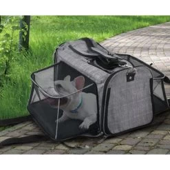All For Paws AFP Travel Dog - Rolling Pet Carrier -Geschäft Für Tierbedarf afp travel dog rolling pet carrier 213521 0500 none