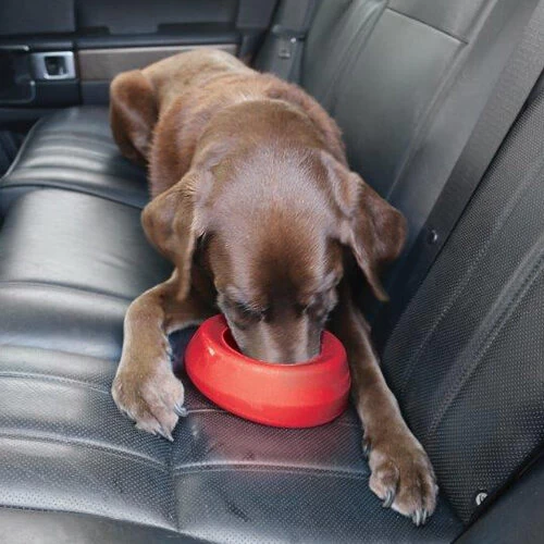 Kurgo Splash Free Wander Water Bowl 9 Kurgo Splash Free Wander Water Bowl - Afbeelding 7