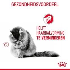 Royal Canin Hairball Care In Gravy - Kattenvoer -Geschäft Für Tierbedarf b5BGZndEVRARBU6xTTXdGdZB9ZfBvZ metaUm95YWwtQ2FuaW4tSGFpcmJhbGwtQ2FyZS1pbi1HcmF2eV8wMi5qcGc