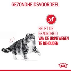 Royal Canin Urinary Care In Gravy - Kattenvoer -Geschäft Für Tierbedarf bQ4DfuNB3UTwRZ1lnPBpZrXOtehvVK metaUm95YWwtQ2FuaW4tVXJpbmFyeS1DYXJlLWluLUdyYXZ5XzA0LmpwZw
