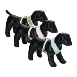 Beeztees Hondentuig -Geschäft Für Tierbedarf beeztees hondentuig 110062 0500 none