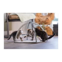 Beeztees Kitten Speelkleed Xabia -Geschäft Für Tierbedarf beeztees kitten speelkleed xabia 216531 2000 none