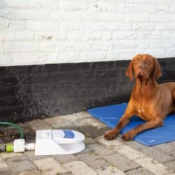 Beeztees Splashy Waterfontein -Geschäft Für Tierbedarf beeztees splashy waterfontein 163285 2000 none