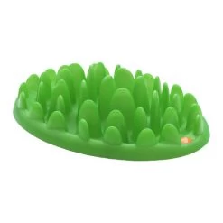 Company Of Animals Green Slow Dog Feeder -Geschäft Für Tierbedarf bfb1bc7dd8220413705038cacdd49707495095169c8a00d2f7b9e0063fdc329a 3