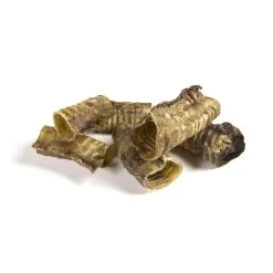 Competition Runderluchtpijp