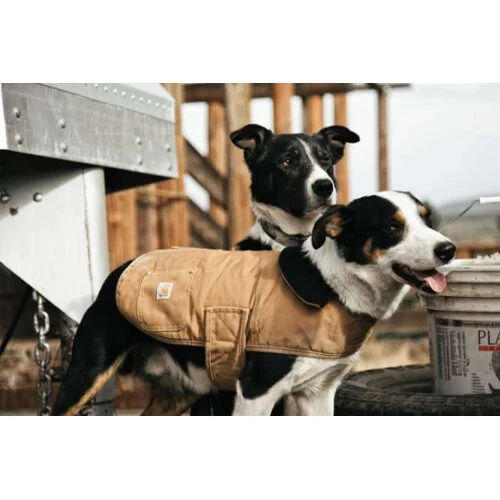 Carhartt Dog Chore Coat 8 Carhartt Dog Chore Coat - Afbeelding 6