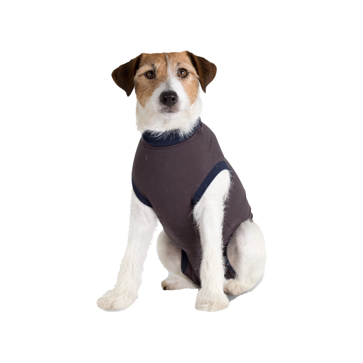 Jacketz Medical Body Suit Hond 20 Jacketz Medical Body Suit Hond - Afbeelding 18