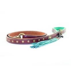 DWAM Hondenriem Joe -Geschäft Für Tierbedarf d851e1da746a7ed69e57f268b3d363ea01f1b2f4b9f1cd7e247e9dd6aefa05ae 4