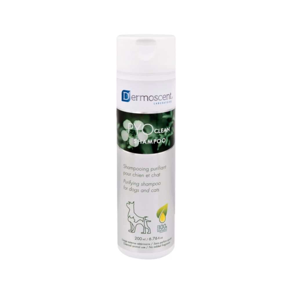 Dermoscent PYOclean Shampoo 4 Dermoscent PYOclean Shampoo - Afbeelding 2