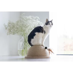 Designed By Lotte Halve Krabbol Vivi -Geschäft Für Tierbedarf designed by lotte halve krabbol vivi 221562 1500 none