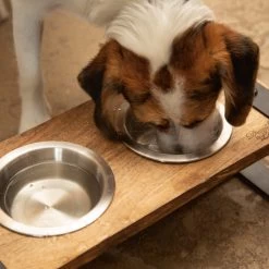 Designed By Lotte Houten Dinerset Karinto -Geschäft Für Tierbedarf designed by lotte houten dinerset karinto 164311 2000 none