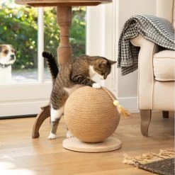 Designed By Lotte Krabbol Balty -Geschäft Für Tierbedarf designed by lotte krabbol balty 164809 2000 none