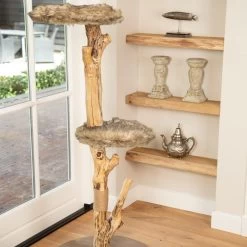 Designed By Lotte Krabmeubel Jazz -Geschäft Für Tierbedarf designed by lotte krabmeubel jazz 169993 2000 none