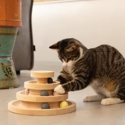 Designed By Lotte Speeltoren Mia -Geschäft Für Tierbedarf designed by lotte speeltoren mia 193652 1000 none