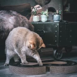 District 70 Snake -Geschäft Für Tierbedarf district 70 snake kattenspeelgoed 190421 2000 none