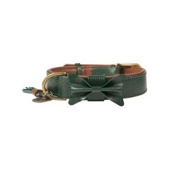 DWAM Halsband Bowie -Geschäft Für Tierbedarf dwam bowie halsband groen xxl 113224 1000 none